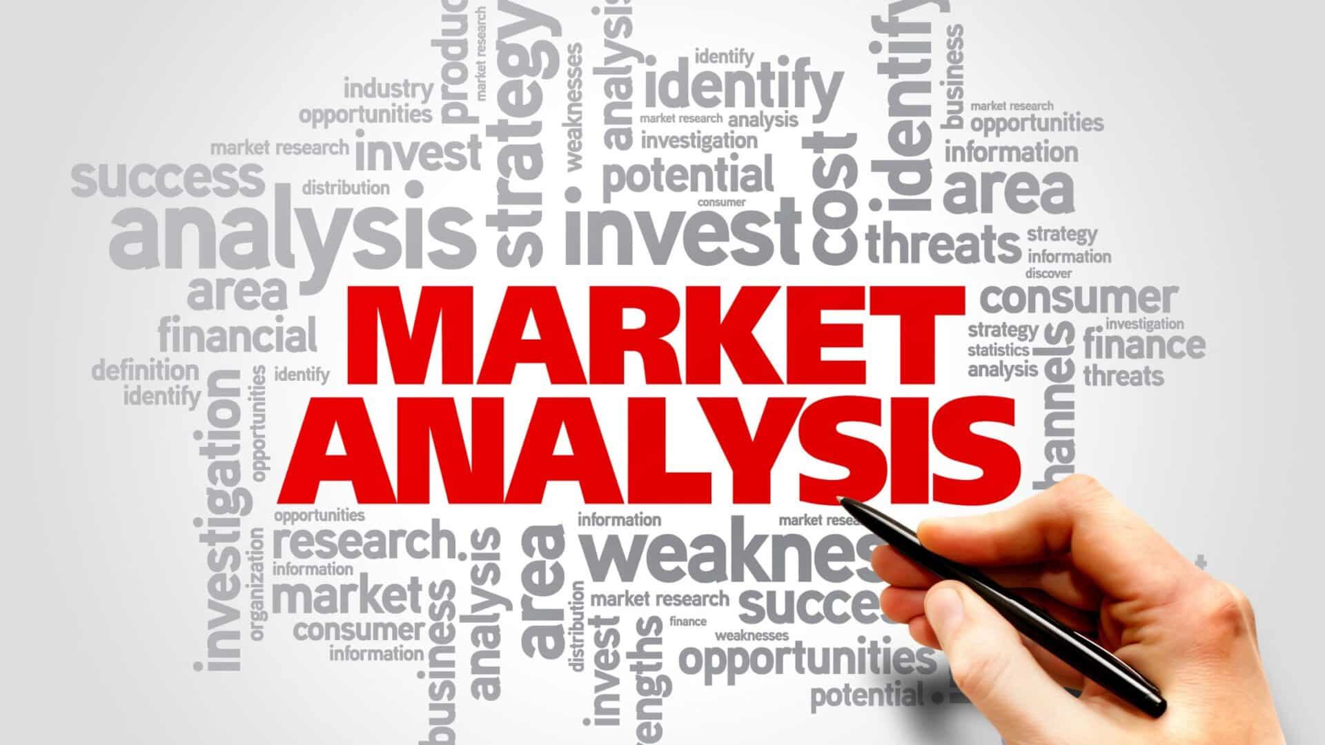 Tips to Conduct a Market Analysis in 6 Steps