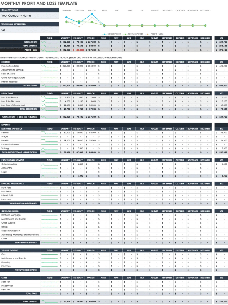  Profit and Loss Statement