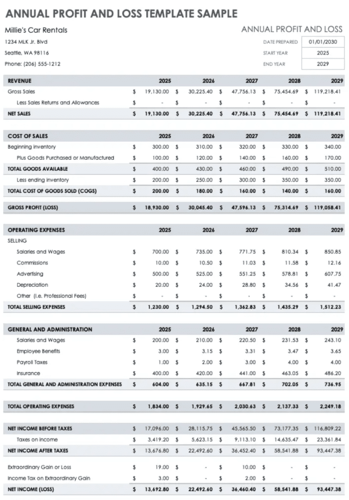 Profit and Loss Statement