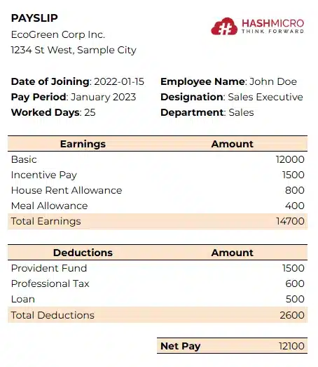 payslip template 3