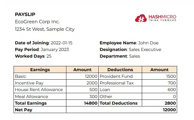 payslip tmplate 2