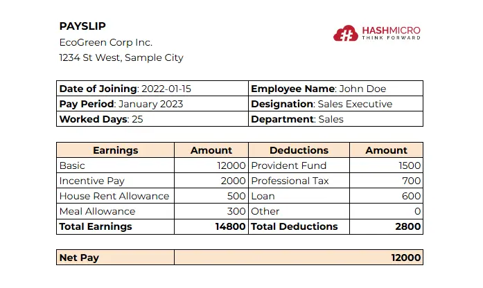 template payslip 4