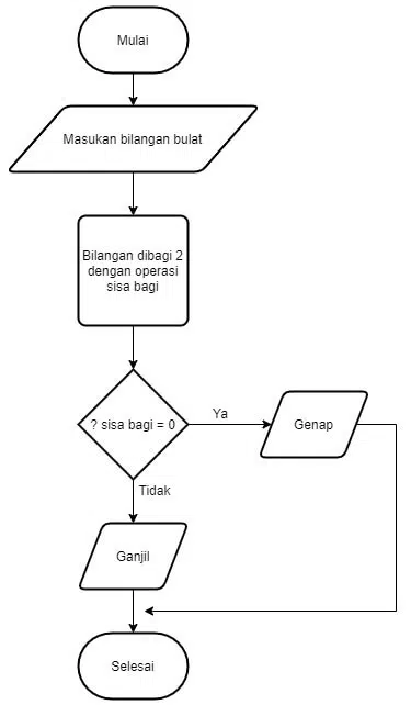 Algoritma Adalah Pengertian Fungsi Dan Perannya Bagi Pemrograman