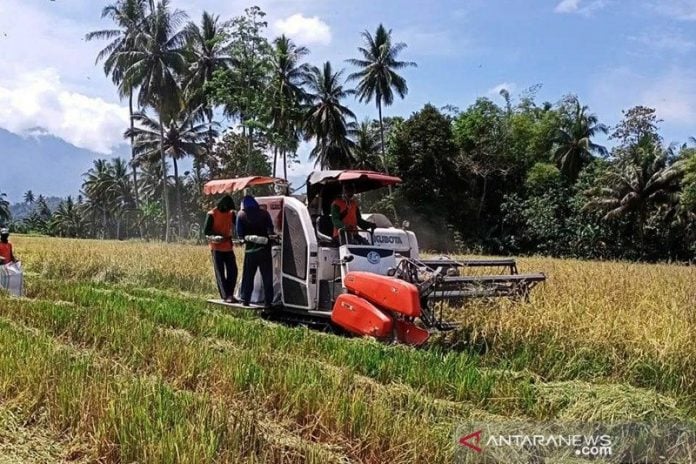 Smart Farming 4.0: Disrupsi Teknologi Pertanian Di Indonesia