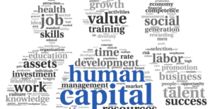 Mengenal Human Capital: Pengertian, Jenis Dan Fungsinya!