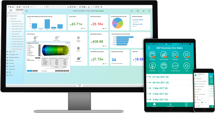 Software Wholesale SAP Business One