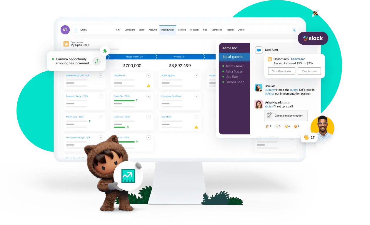 salesforce client management system